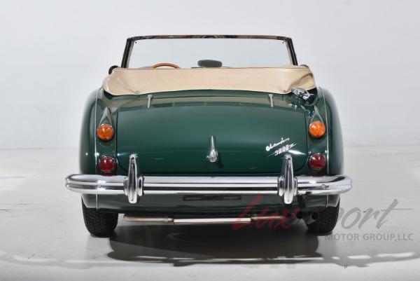 Used 1966 Austin Healey 3000 BJ8 Mark III Convertible  | Woodbury, NY